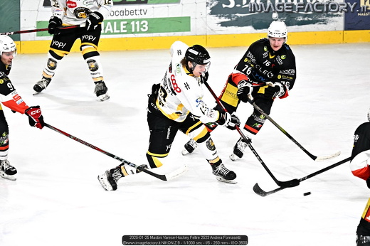 2025-01-25 Mastini Varese-Hockey Feltre 2523 Andrea Fornasetti